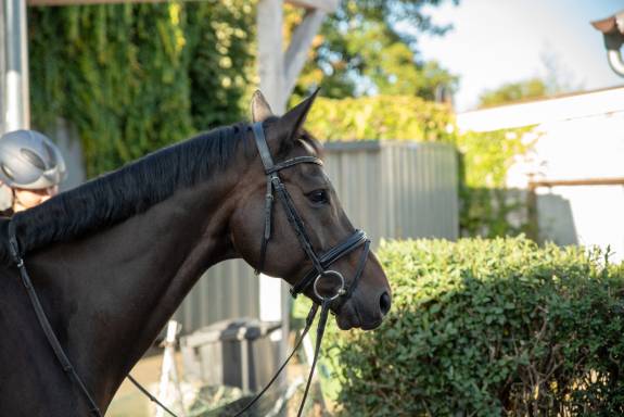 Kirche in Zeiten der Corona Pandemie